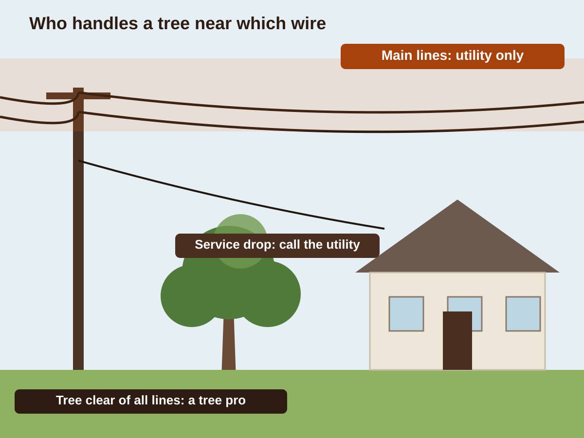 Diagram of a utility pole, main lines along the street, a service line running to a house and a tree in the yard, labeled by who handles trees near each