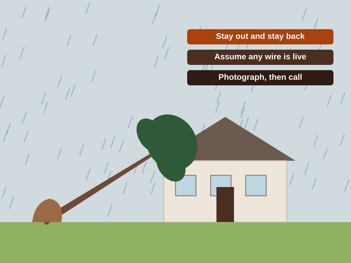 Illustration of a tall pine uprooted by a rainstorm and lying across the roof of a one-story house, with safety reminders: stay out and stay back, assume any wire is live, photograph then call