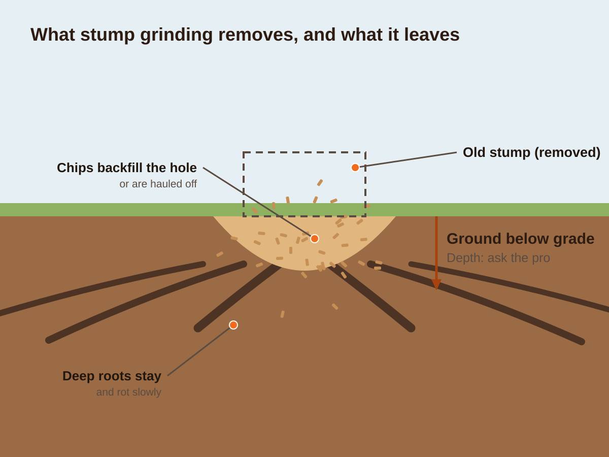 Cross-section diagram: the outline of a removed stump above ground, a bowl-shaped hole below the lawn filled with wood chips, and the deeper roots left in the soil to rot
